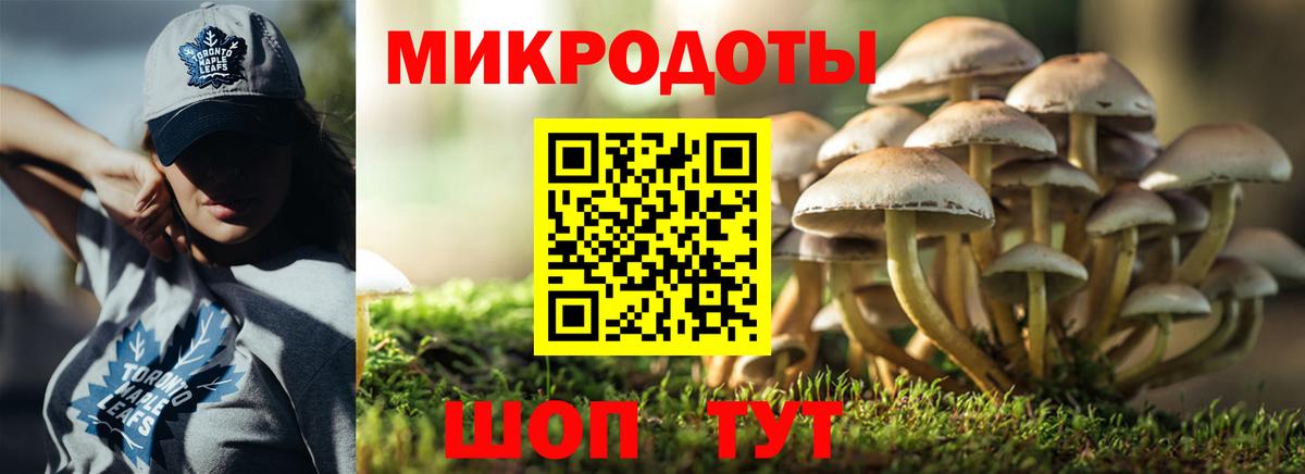 Галлюциногенные грибы Psilocybe  дарнет шоп  Нурлат  Вход с VPN  Псилоцибиновые грибы прущие грибы 