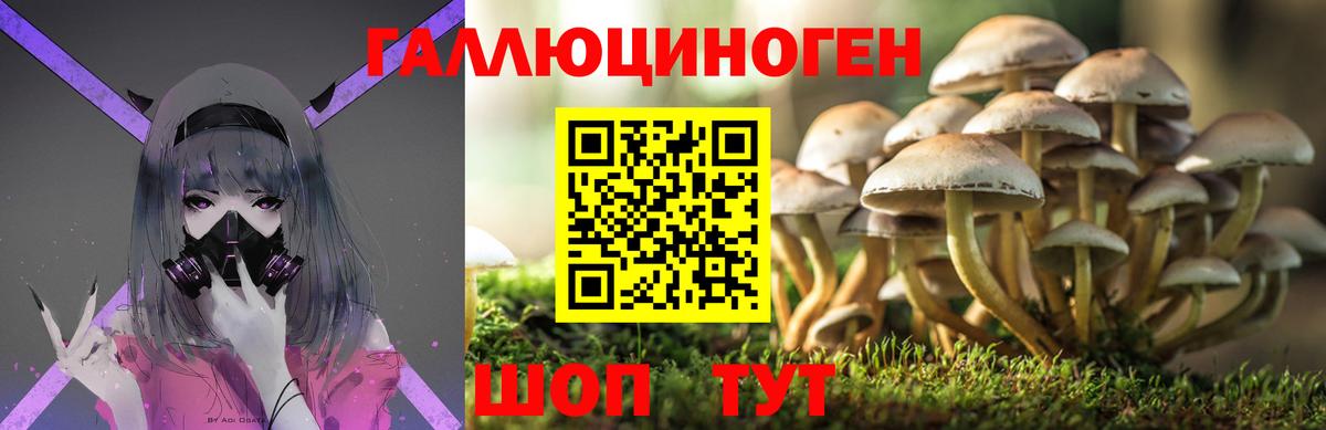 Галлюциногенные грибы Psilocybe Нурлат